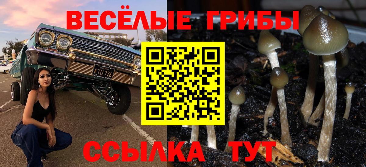Псилоцибиновые грибы ЛСД Гай
