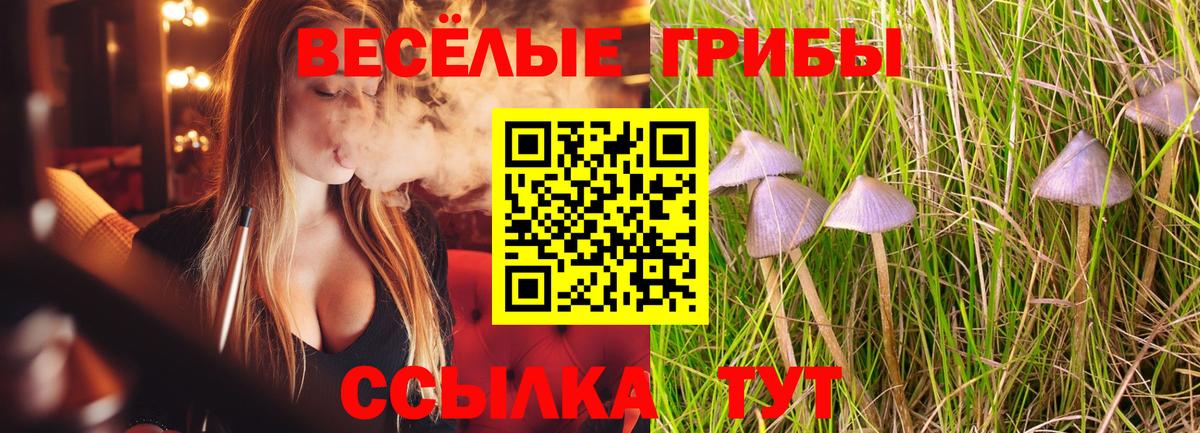 Гай  цены   Вход с VPN  Галлюциногенные грибы мицелий 