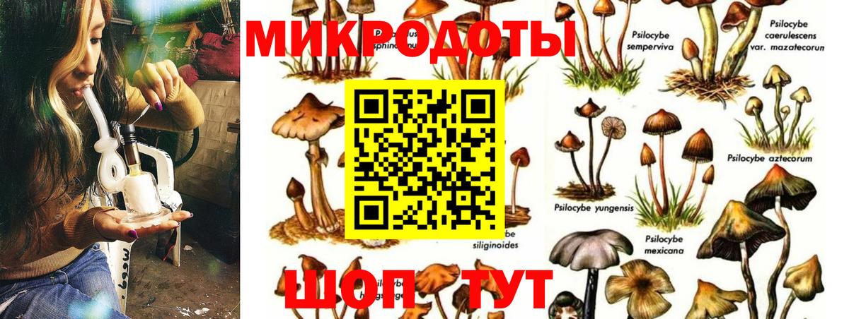 Меф мяу мяу Гай